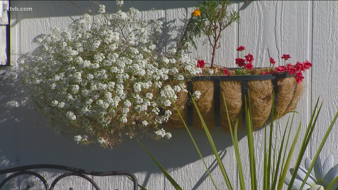 learn-how-to-grow-a-garden-in-small-space-ktvb