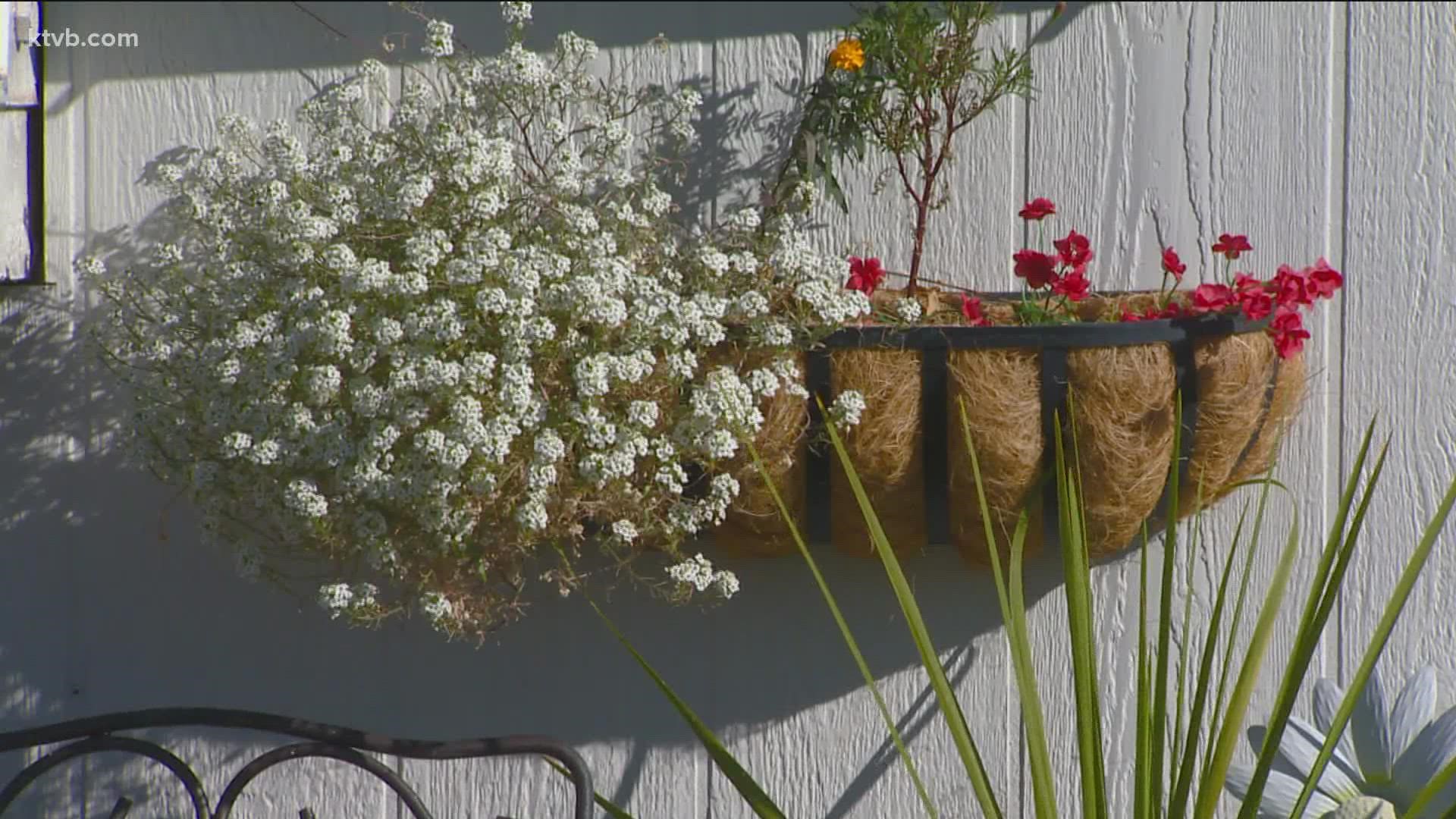 Garden master Jim Duthie takes us to an RV park where people have learned to grow in small spaces.