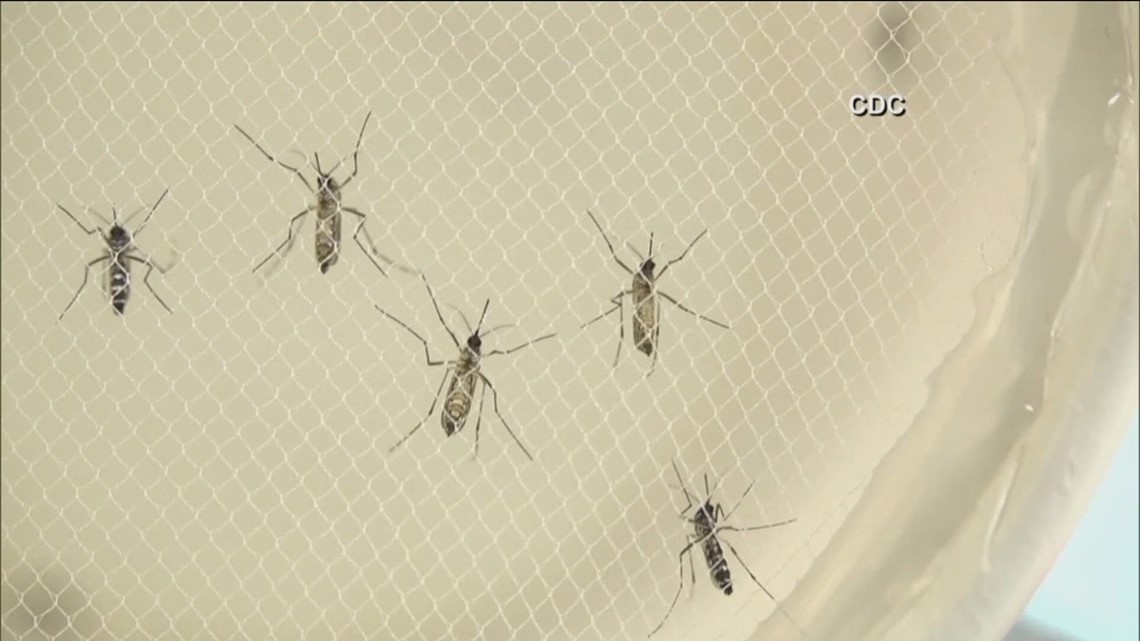 Idaho reports first West Nile virus-related death of 2025