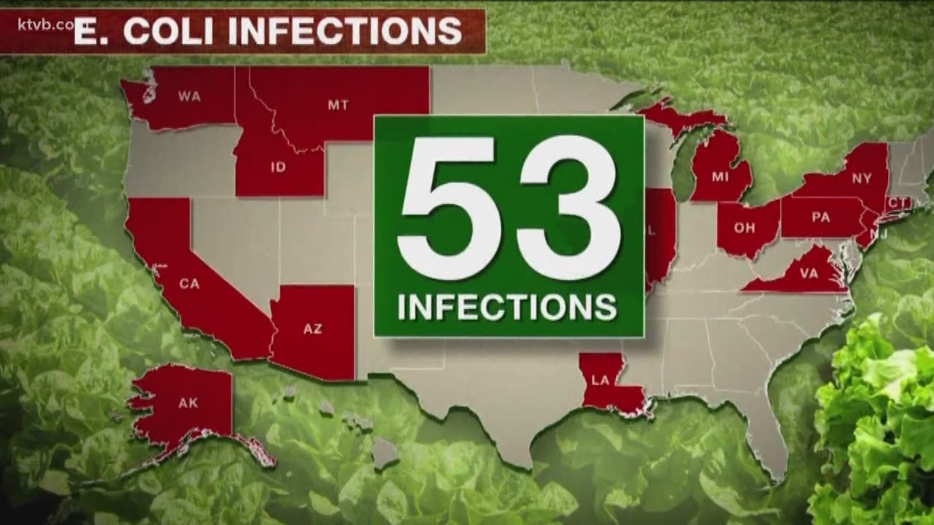 CDC expands warning about E. coli outbreak.