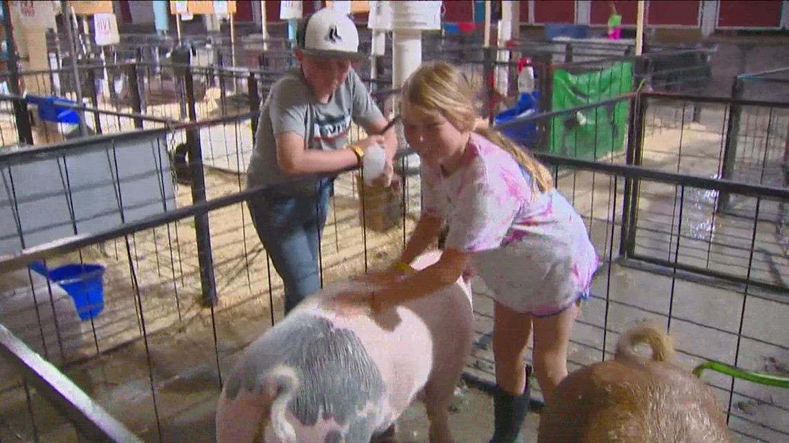 Canyon County Fair 2022 opens Thursday, continues this weekend