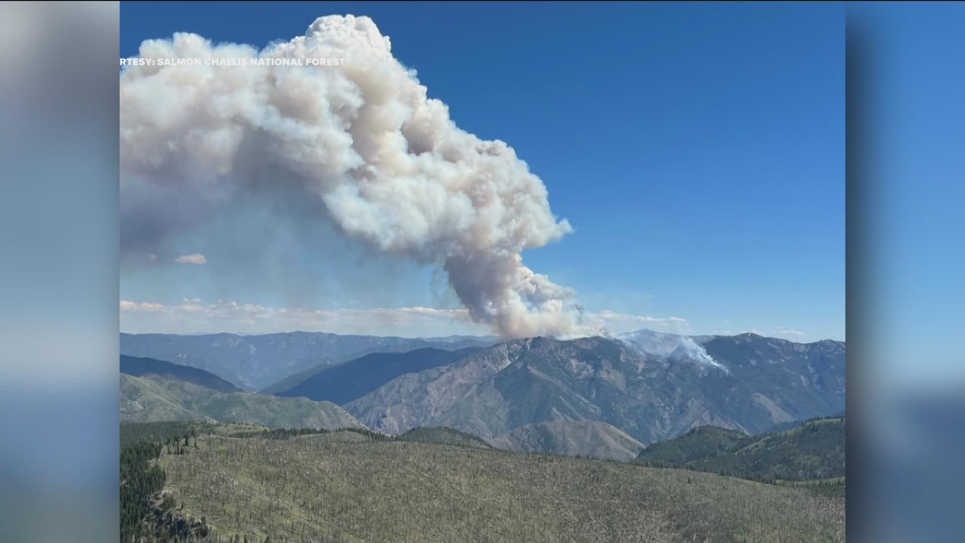 The Woodtick Fire has burned 4,953 acres and was caused by a lightning strike, according to the Salmon-Challis National Forest.