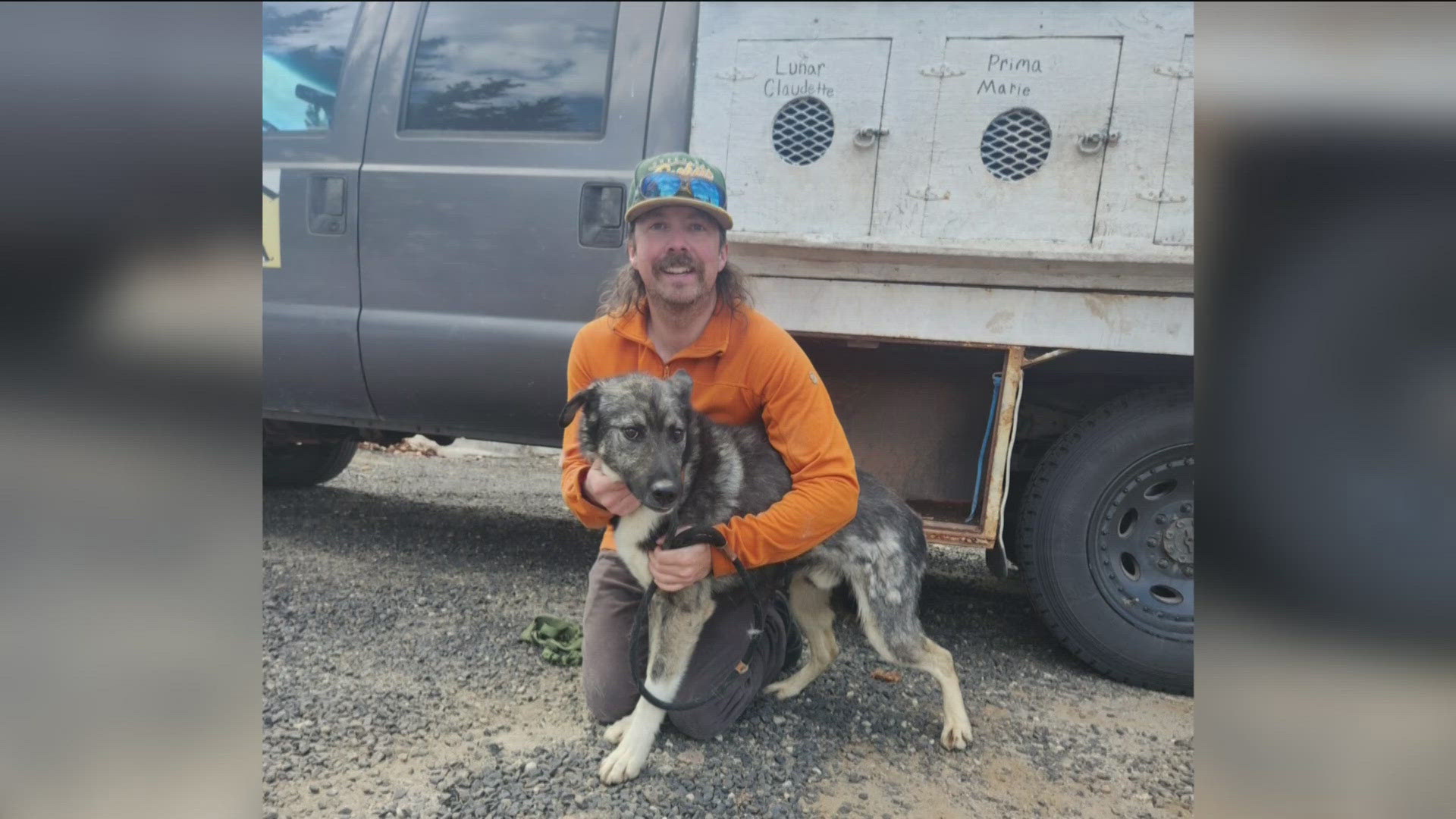 In February, Valley County Sheriff's deputies seized five Alaskan huskies after a complaint of alleged animal cruelty—a man mushed to their rescue. 