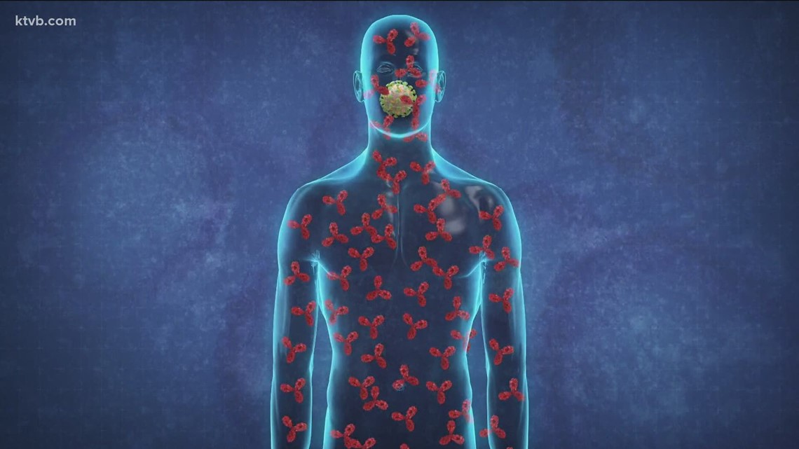 Idaho COVID-19 expert shares insight on new virus transmission research