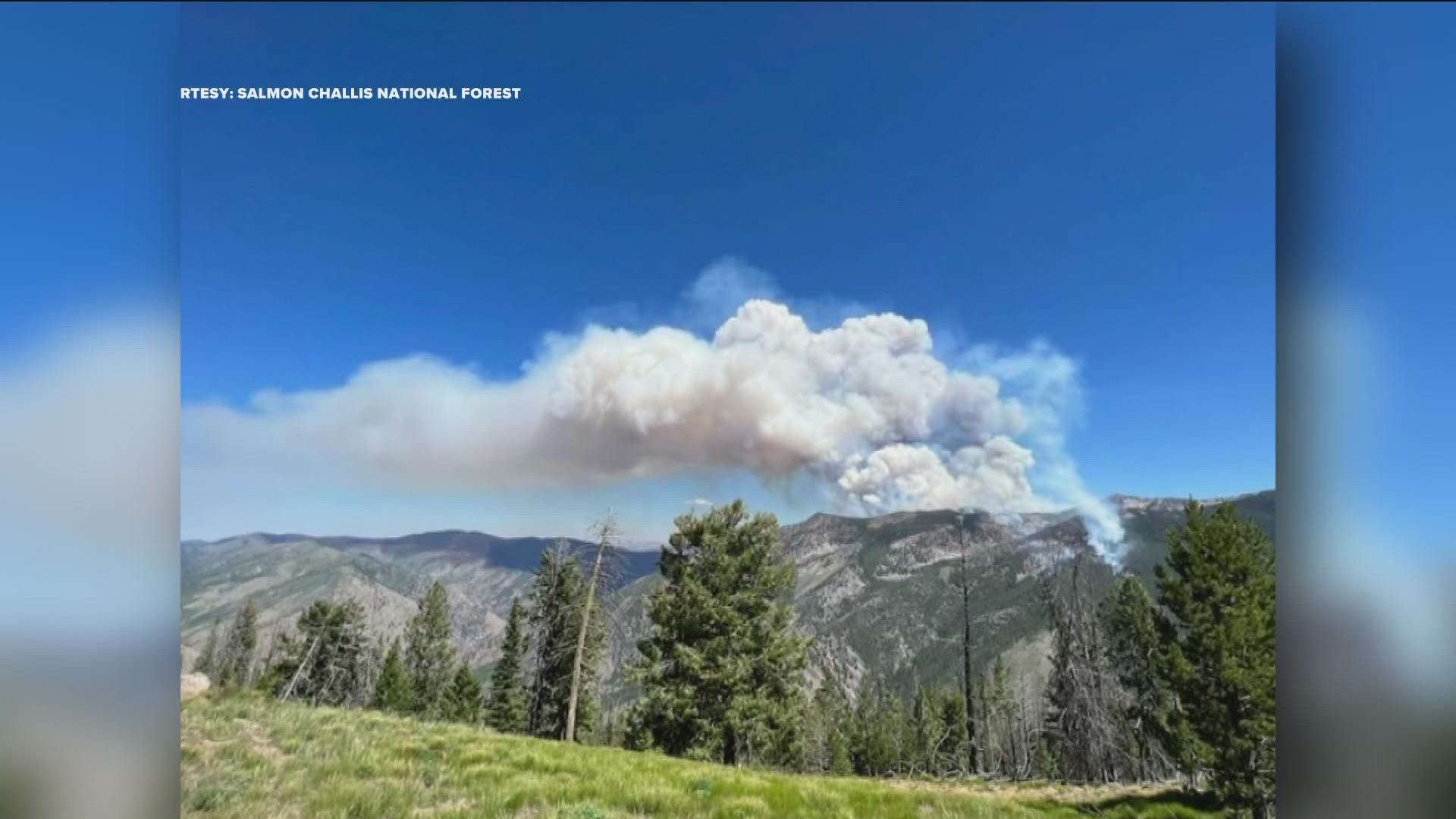 The Woodtick Fire has burned 4,800 acres and was caused by a lightning strike, according to the Salmon-Challis National Forest.
