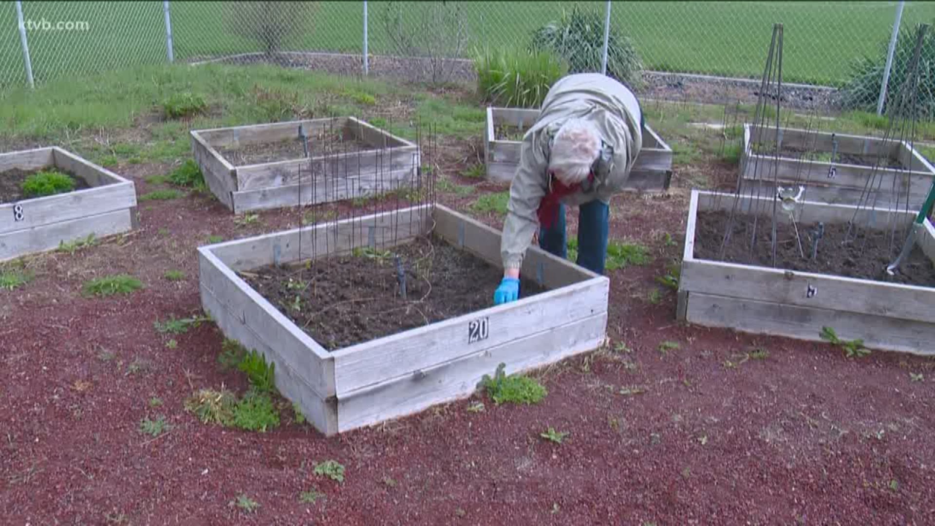 A parent of two former students is leading the effort to save the garden.