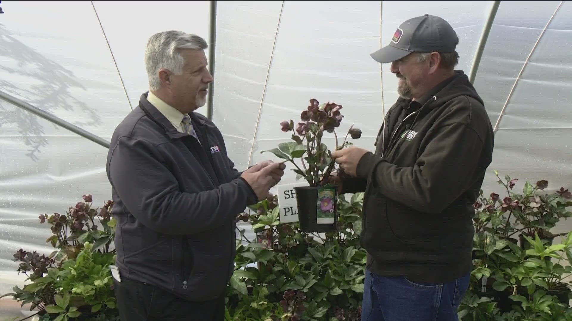 'You Can Grow It' garden master, Jim Duthie, visits Jordan's Garden Center for ideas on some great perennials and Idaho native plants for your dream landscape.