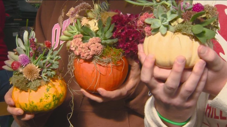 Boiseans create unique Halloween decorations with small pumpkins, succulents