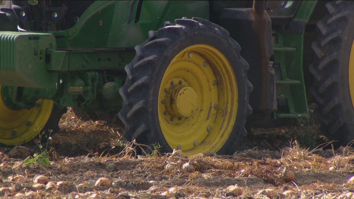10,000 farm jobs at risk: Community leaders highlight immigration policy impact during panel