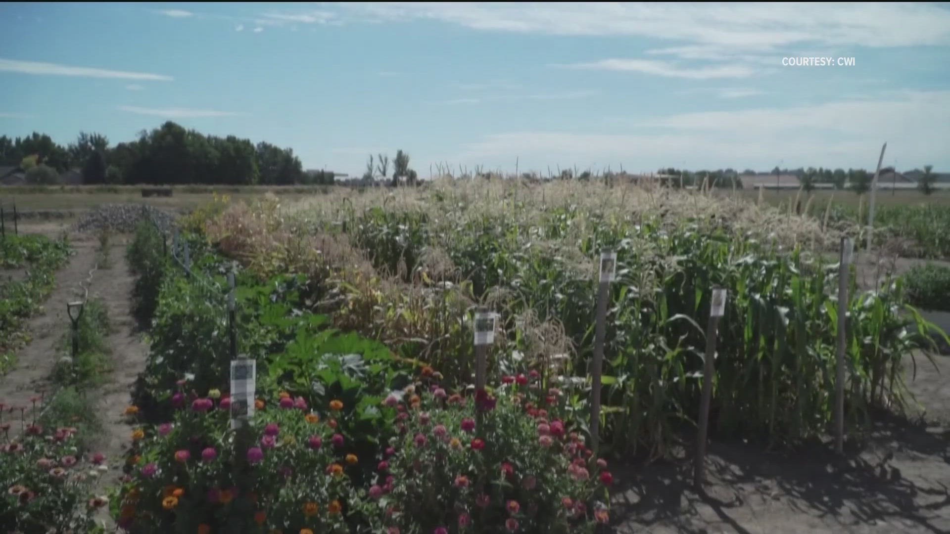 The event helps provide food security to College of Western Idaho students.