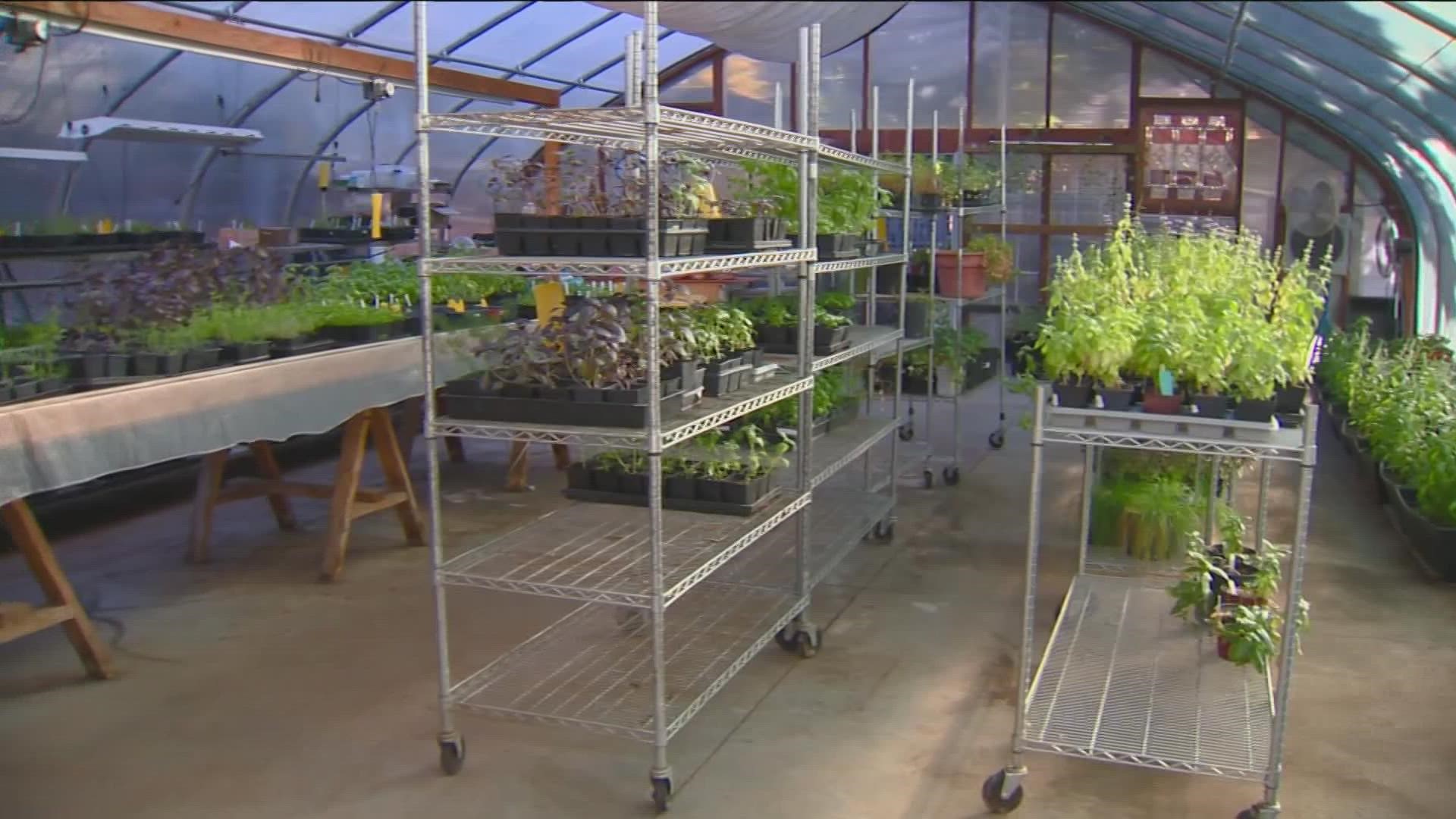 A Boise vertical farm