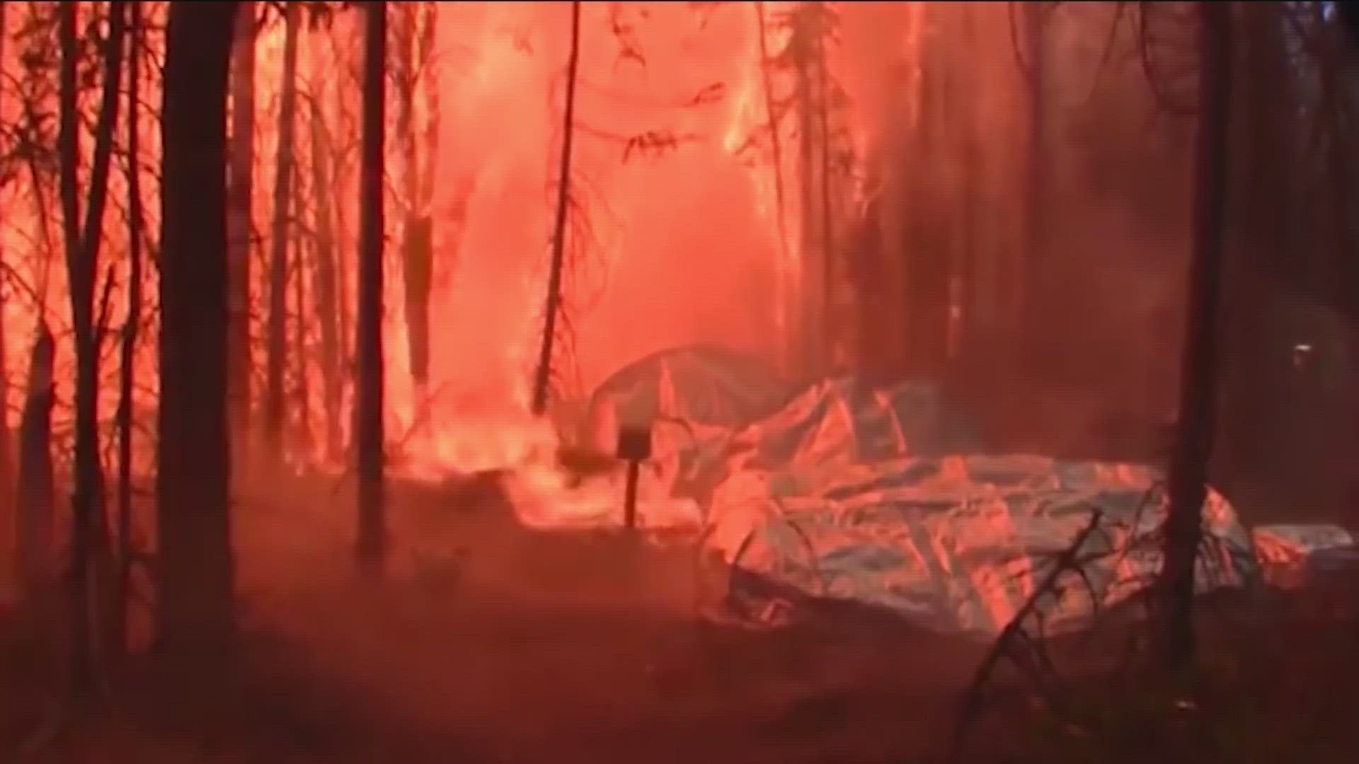 The current shelter, carried by all wildland firefighters, was designed by the U.S. Forest Service in 2002.