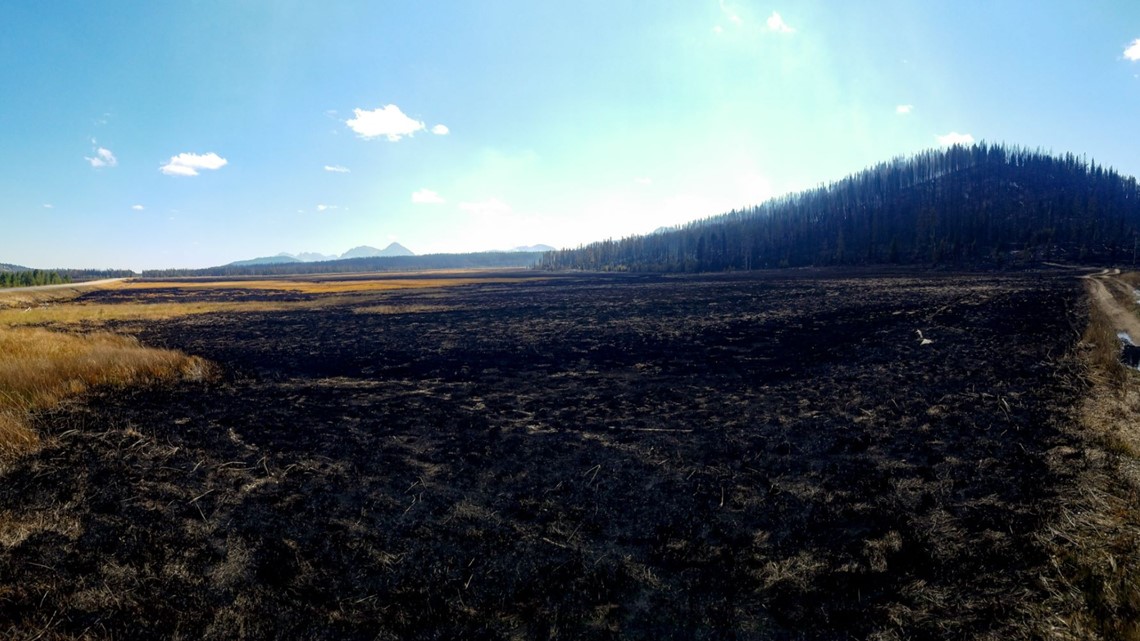 Hazard Tree Mitigation Efforts From Trap Creek Fire Begin Along Highway ...