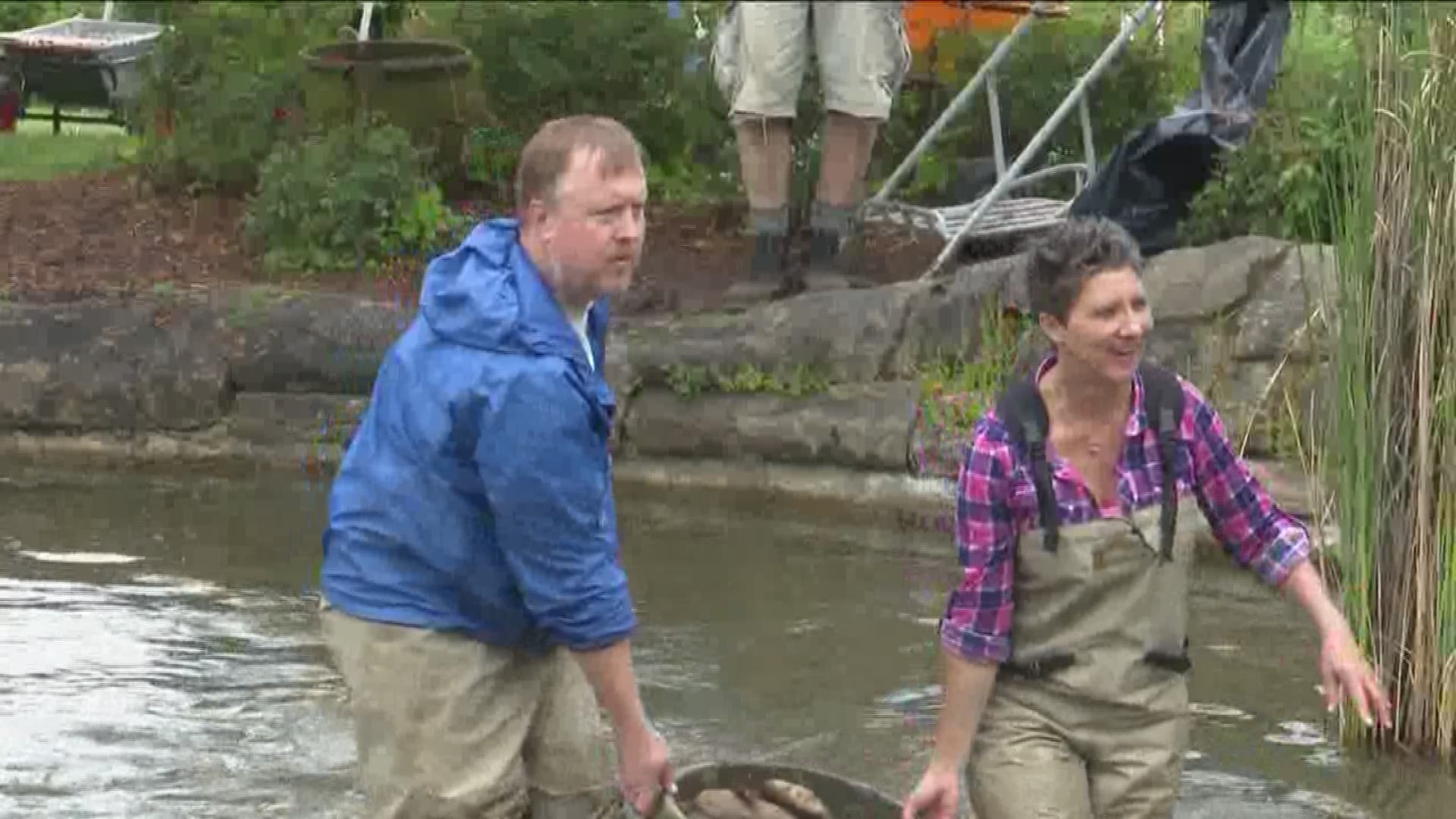 Volunteers spent Sunday cleaning the popular koi pond at the Boise Depot.
