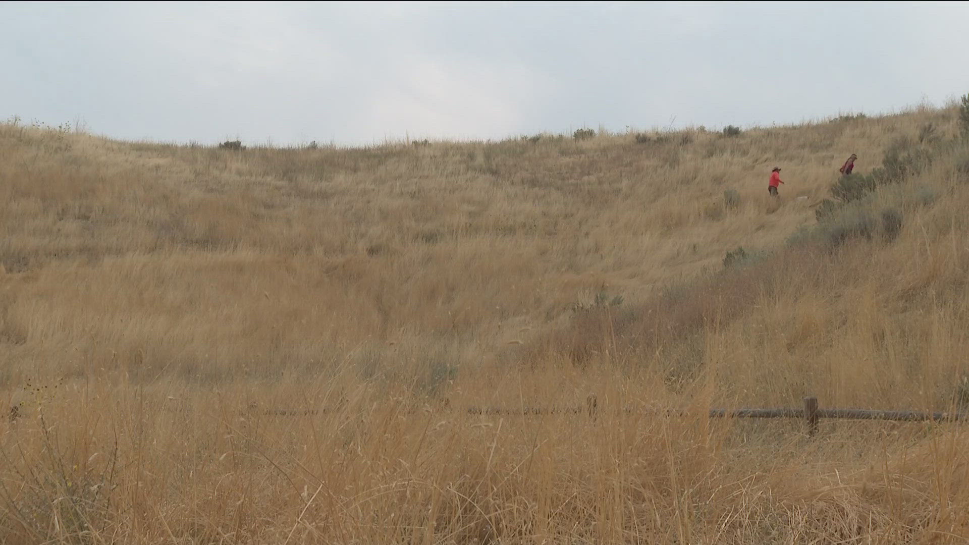 The Hillside to Hollow Reserve has had trail extensions, path widenings and water resistant gravel and soil. The trails are now accessible year-round.