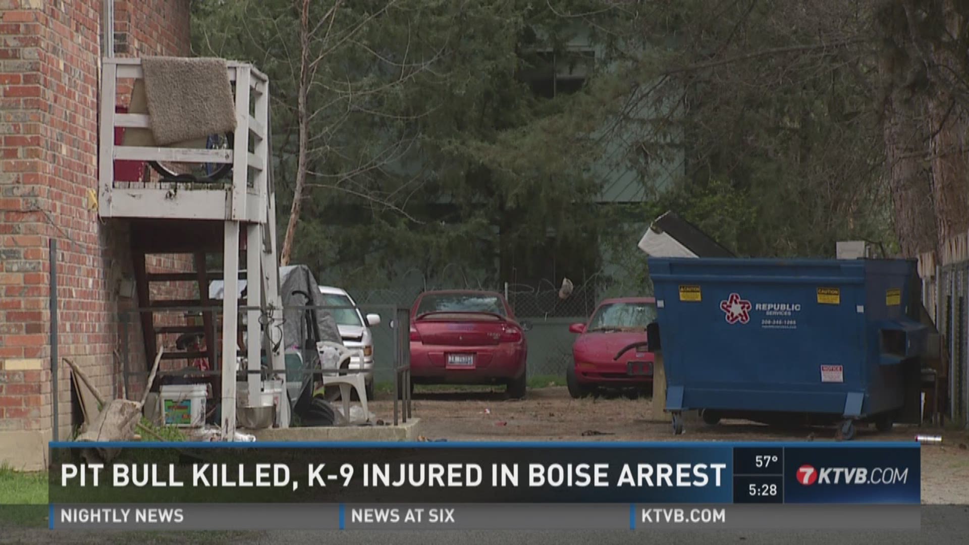 Boise police say the pit bull had their K-9 by the throat before an officer shot the dog twice.