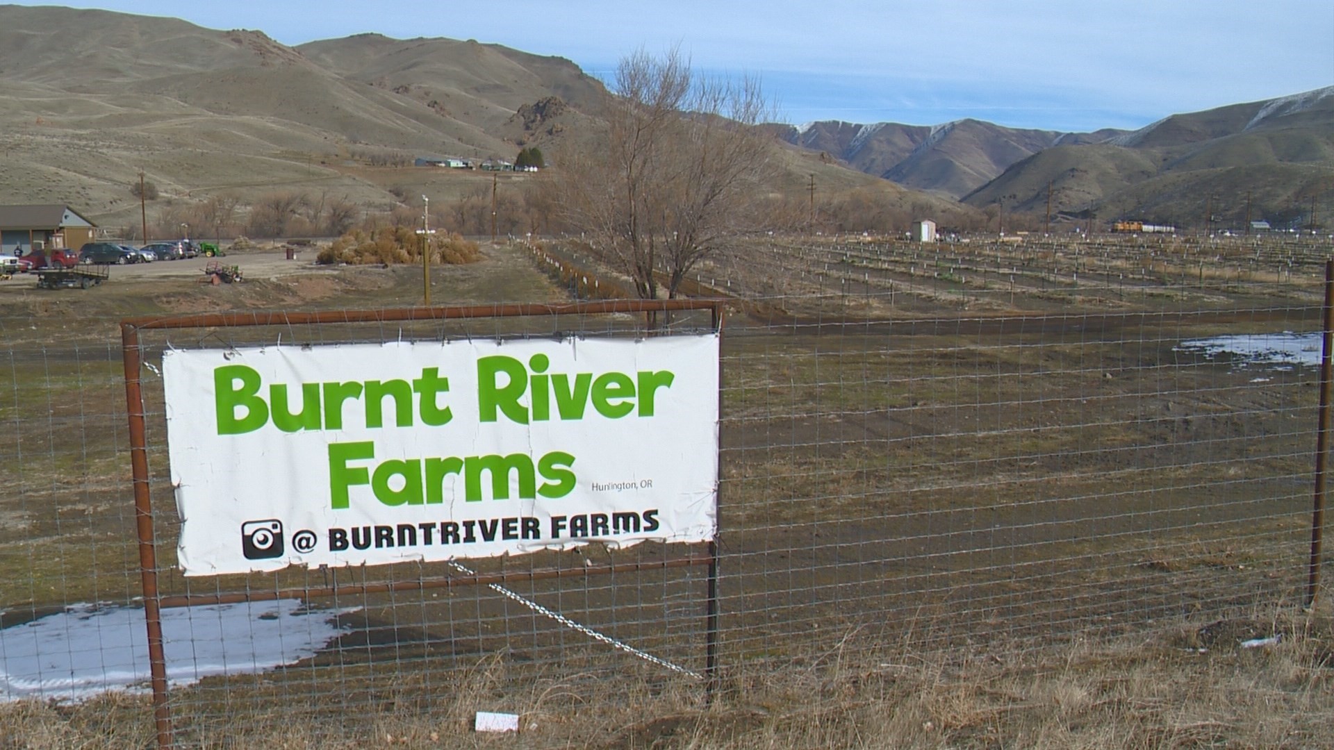 Photos Inside Burnt River Farms