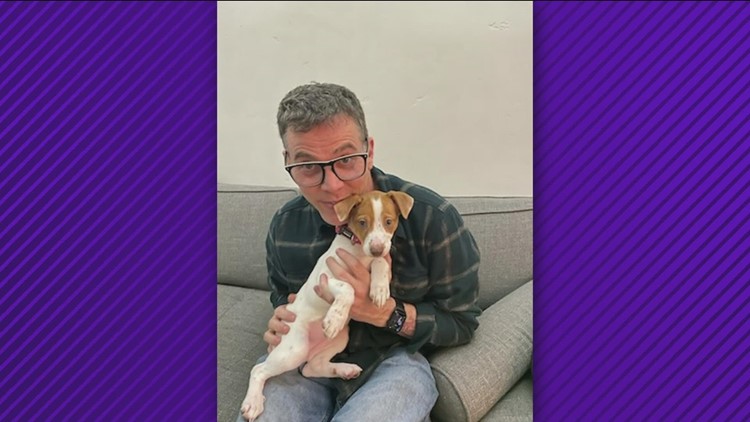 Steve-O helps shelter dog get adopted