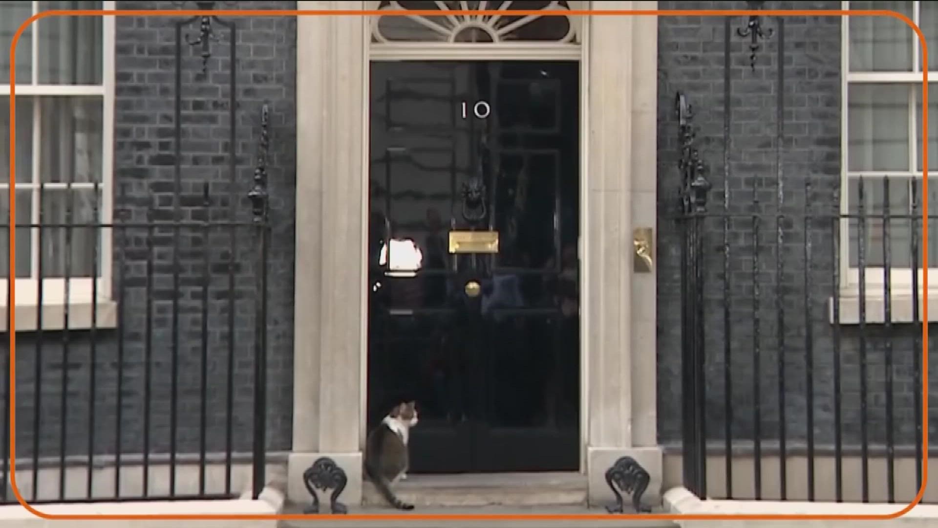 Larry, chief mouser for British prime ministers, has outlasted three PMs.