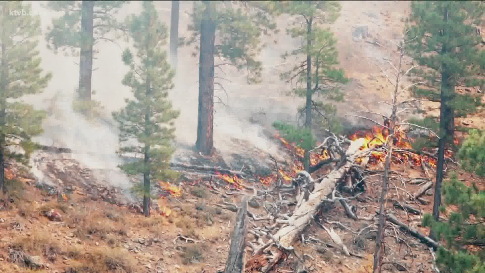 Dry conditions bring hardships to agricultural lands and create a wildfire risk.