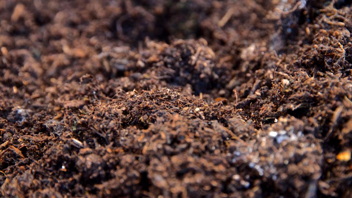 Boise free compost sites to reopen on Friday