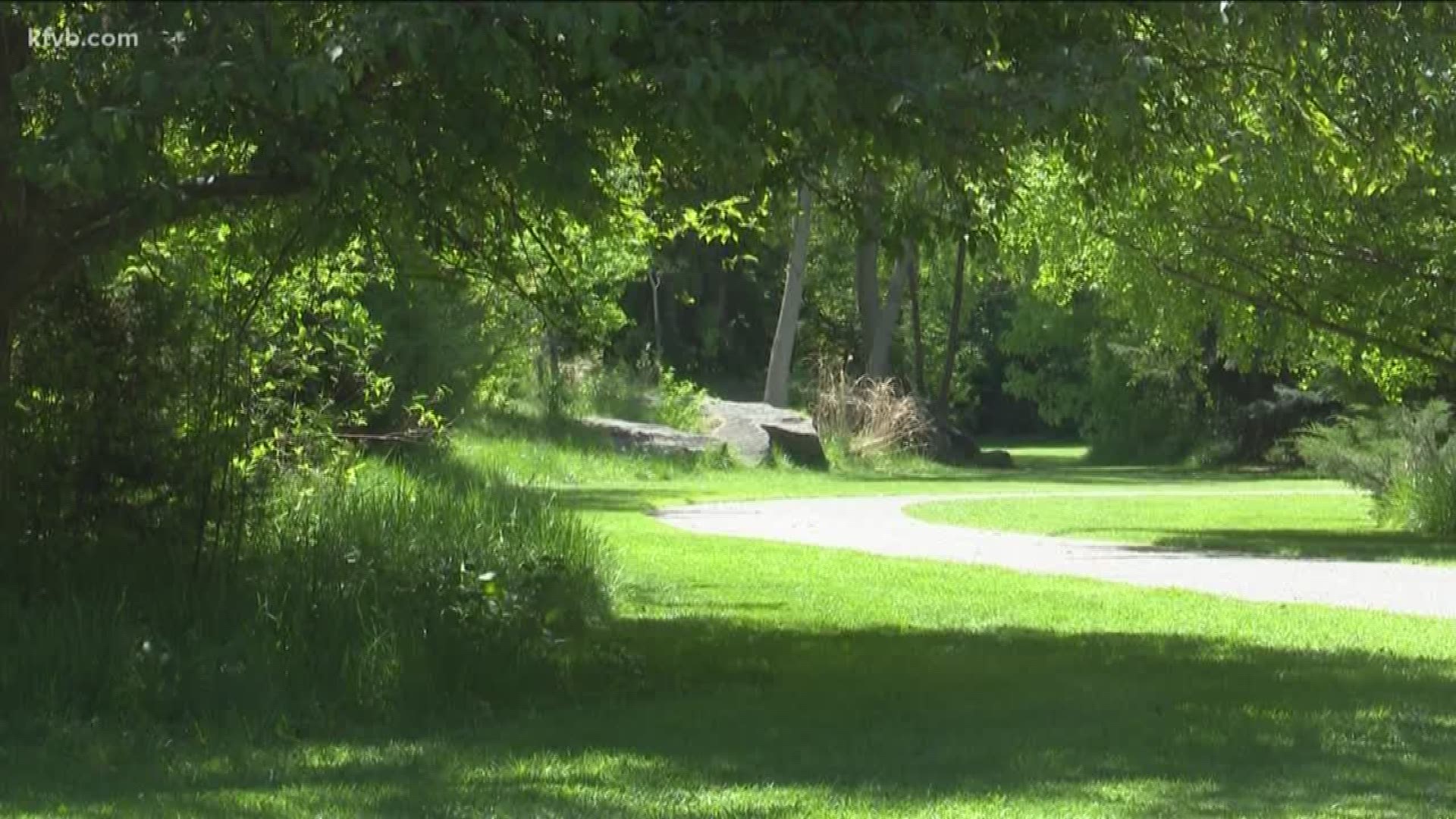 Upgrades proposed at Kathryn Albertson Park.