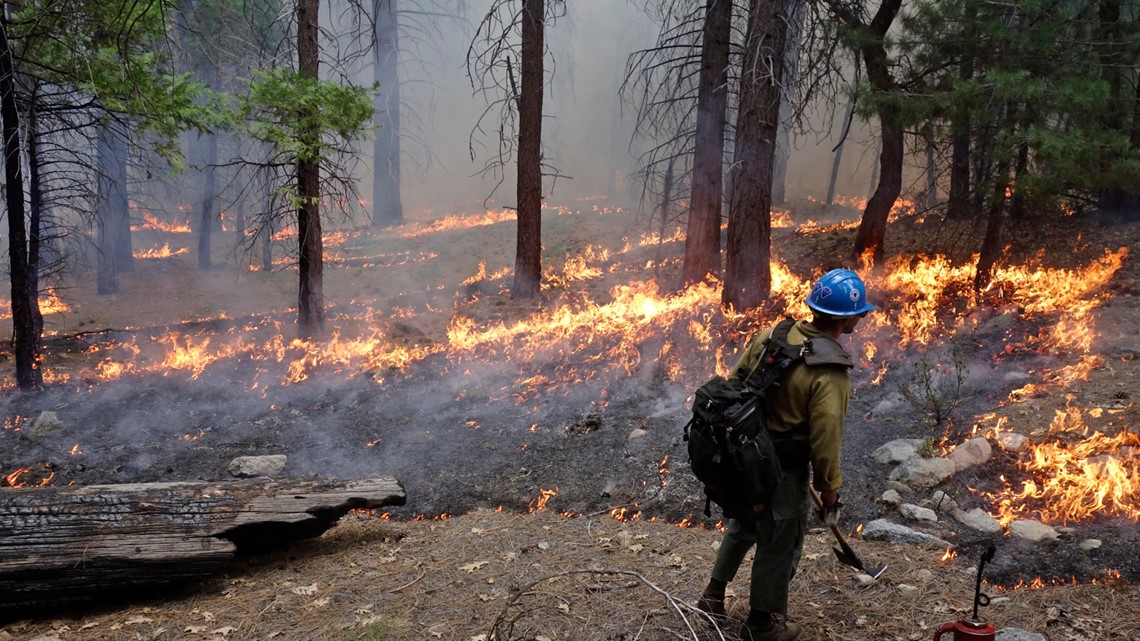 Electric utilities spend millions to lower fire risk - Vimarsana News