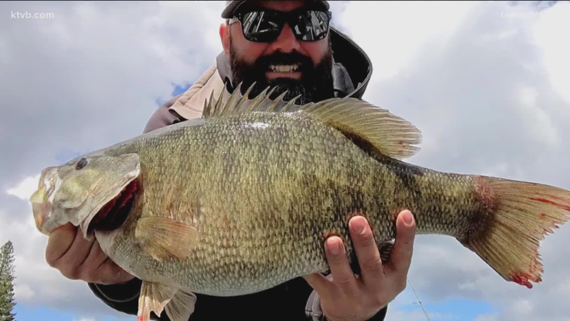 Travis Wendt reeled in the 23.5-inch bass while fishing Dworshak Reservoir in north-central Idaho, breaking the previous smallmouth bass record set in 2020.