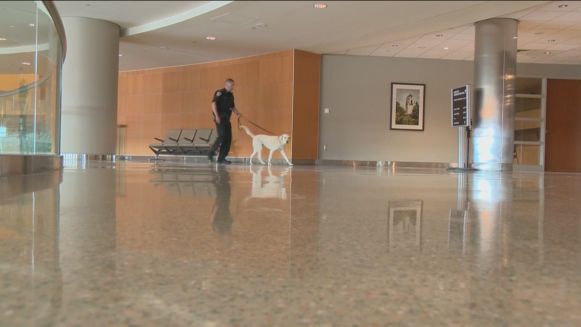 The meet-and-greet event, held as a part of National Work Like a Dog Day on Saturday, applauded the dogs' contributions to airport security operations.