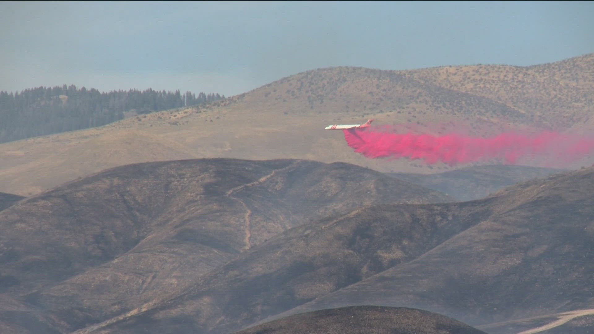 More than 9,800 acres have burned in the Boise Foothills near Warm Springs Avenue and Highway 21.