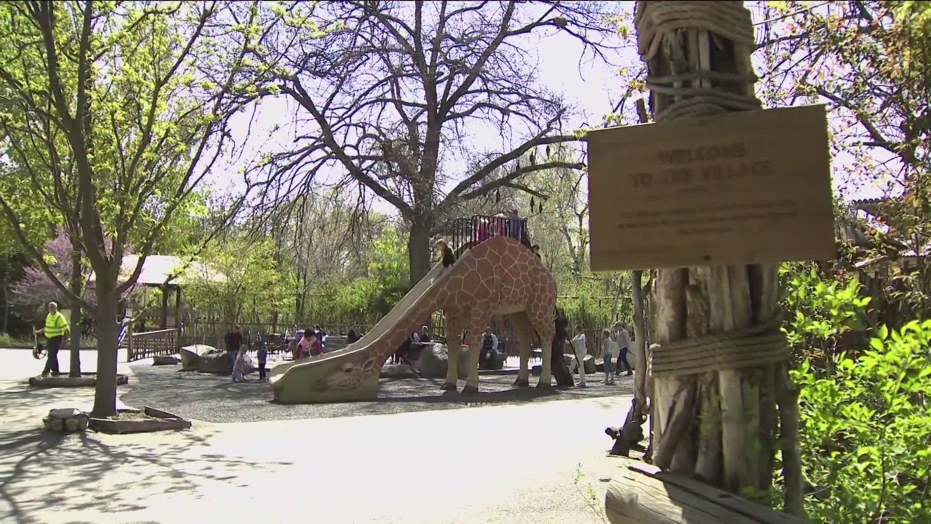 The giraffe slide at Zoo Boise was recently moved closer to the real giraffe exhibit, which is fitting because a group of giraffes can be called a tower.