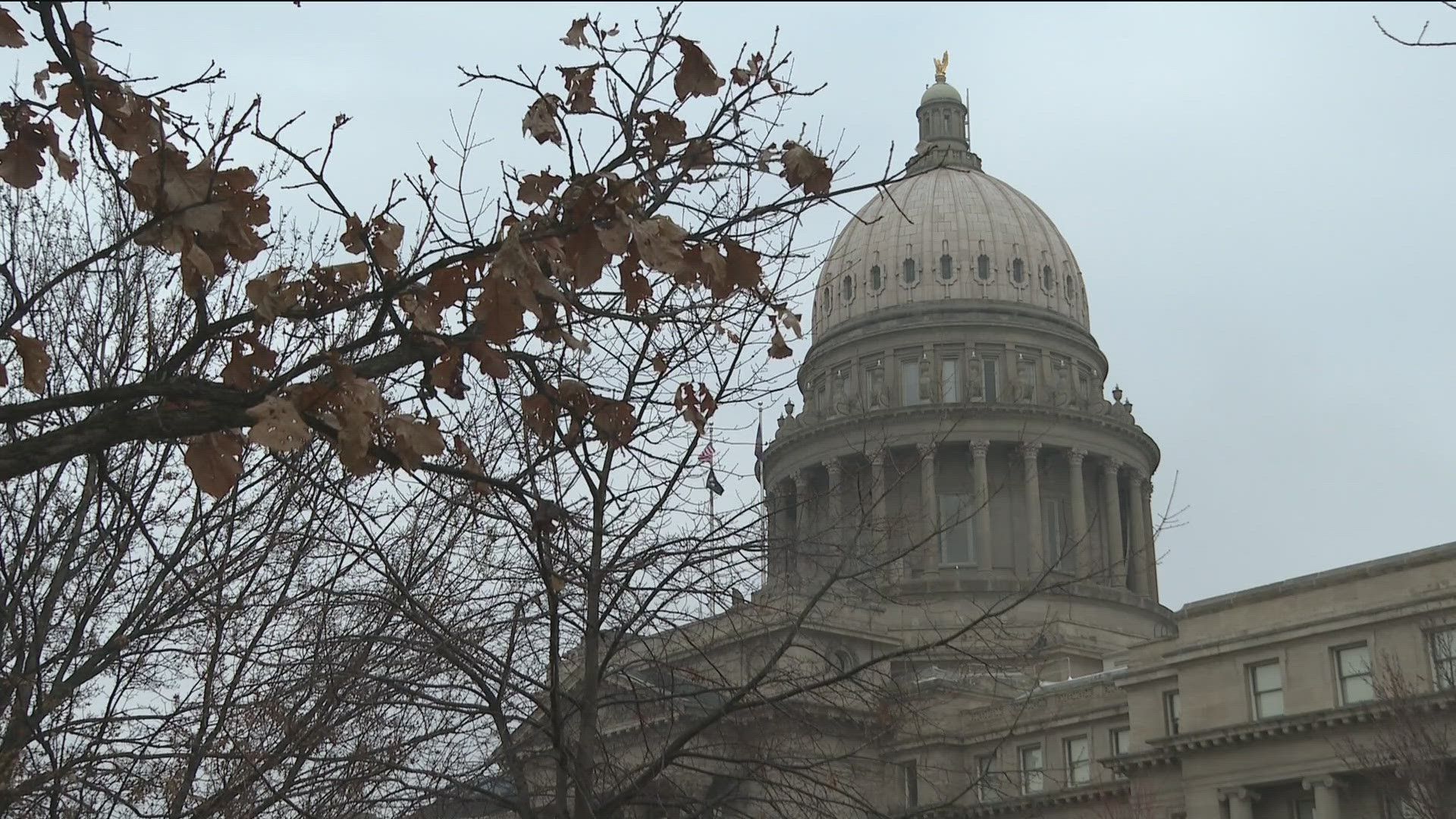 The bill’s sponsor, Rep. Ted Hill, R-Eagle, said the bill is intended to allow teachers and other staff to step in if there’s a school shooting and quickly respond.