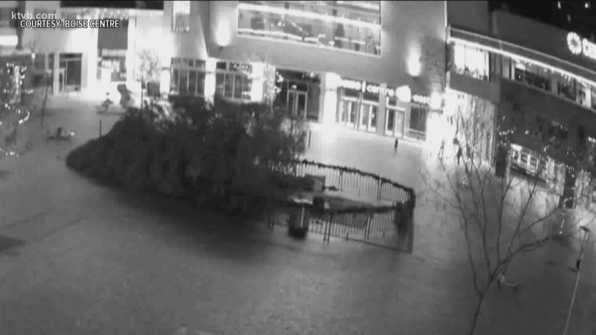We now have video of the tree falling over.