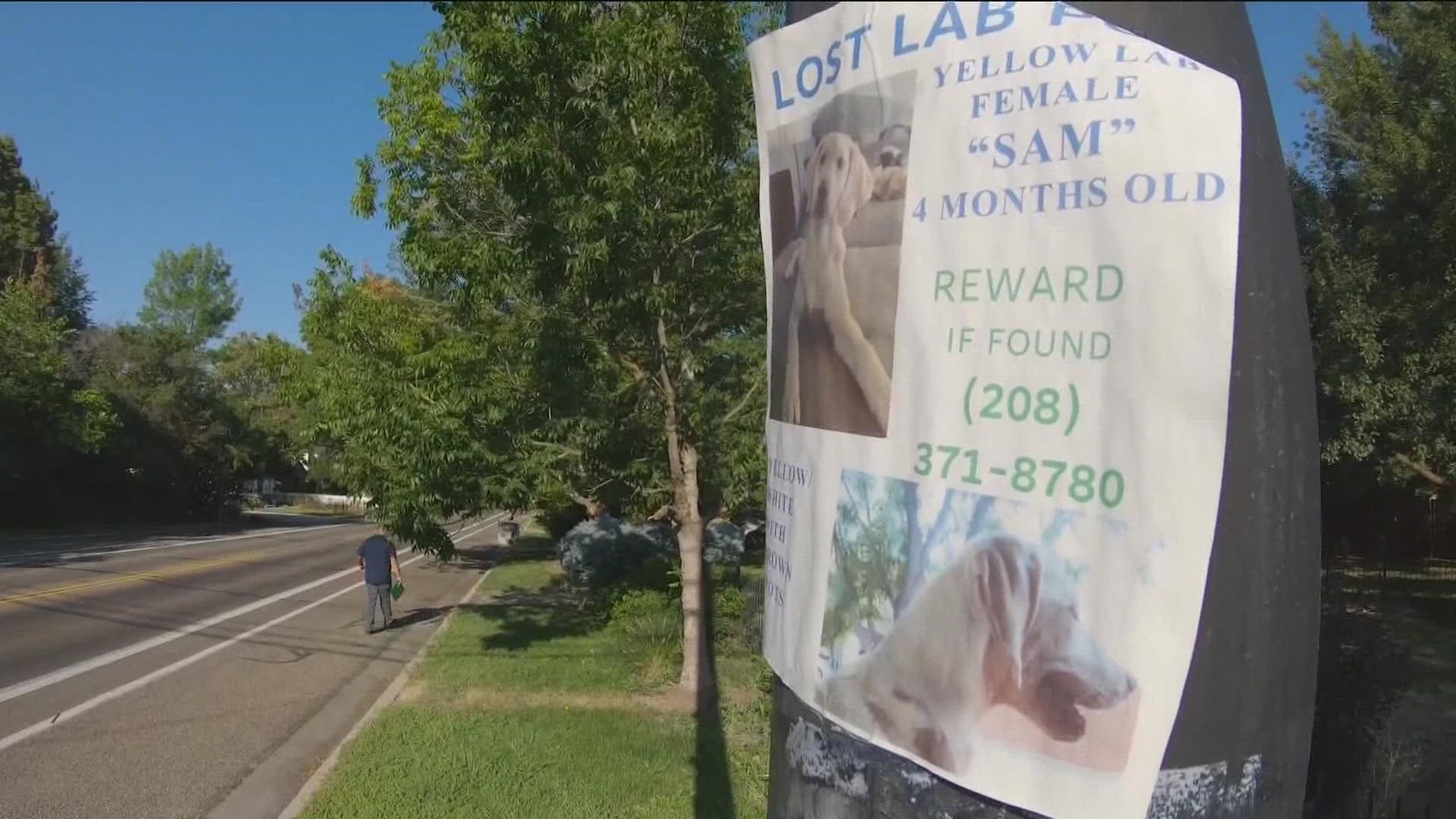 After first airing the story of the lost dog, more details have come to light to show it isn't the full story.