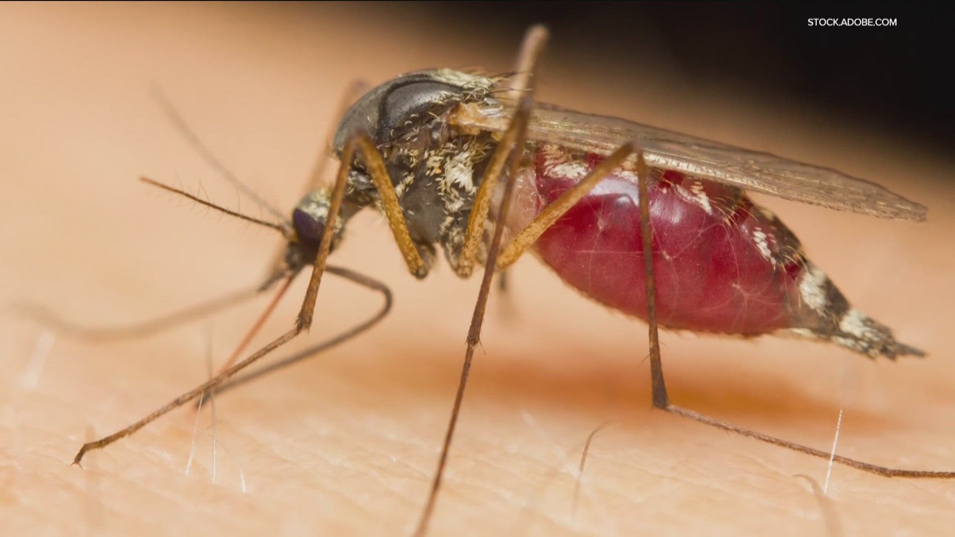 State officials are warning the public after mosquitoes near Three Island Crossing State Park, in Glenns Ferry, tested positive for the West Nile virus.