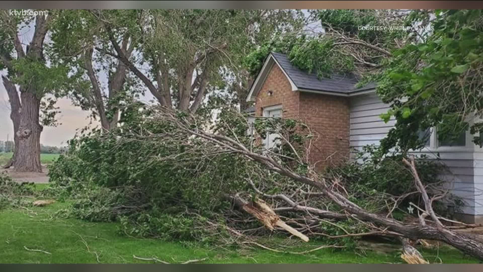A wind and thunderstorm that blew into the area Tuesday evening left damage in its wake in the form of downed limbs and toppled trees.
