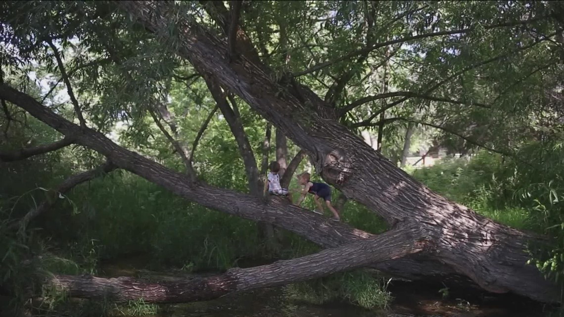 Nature's the classroom for kids at EverWild Forest School - Vimarsana News