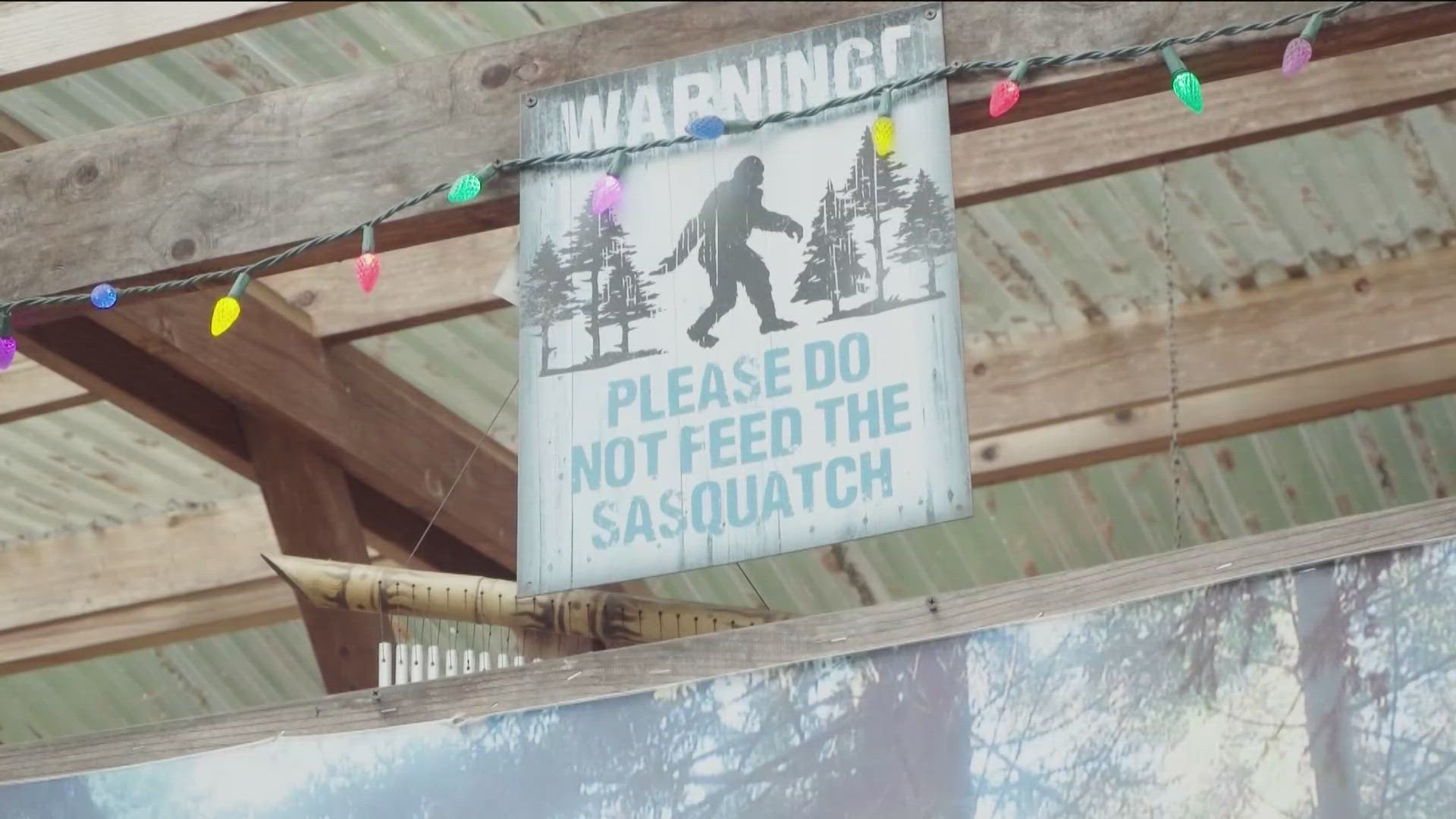 For context, a study shows Idahoans have better odds of seeing Bigfoot than winning most lottery jackpots. Still better odds than finding parking in Downtown Boise. 