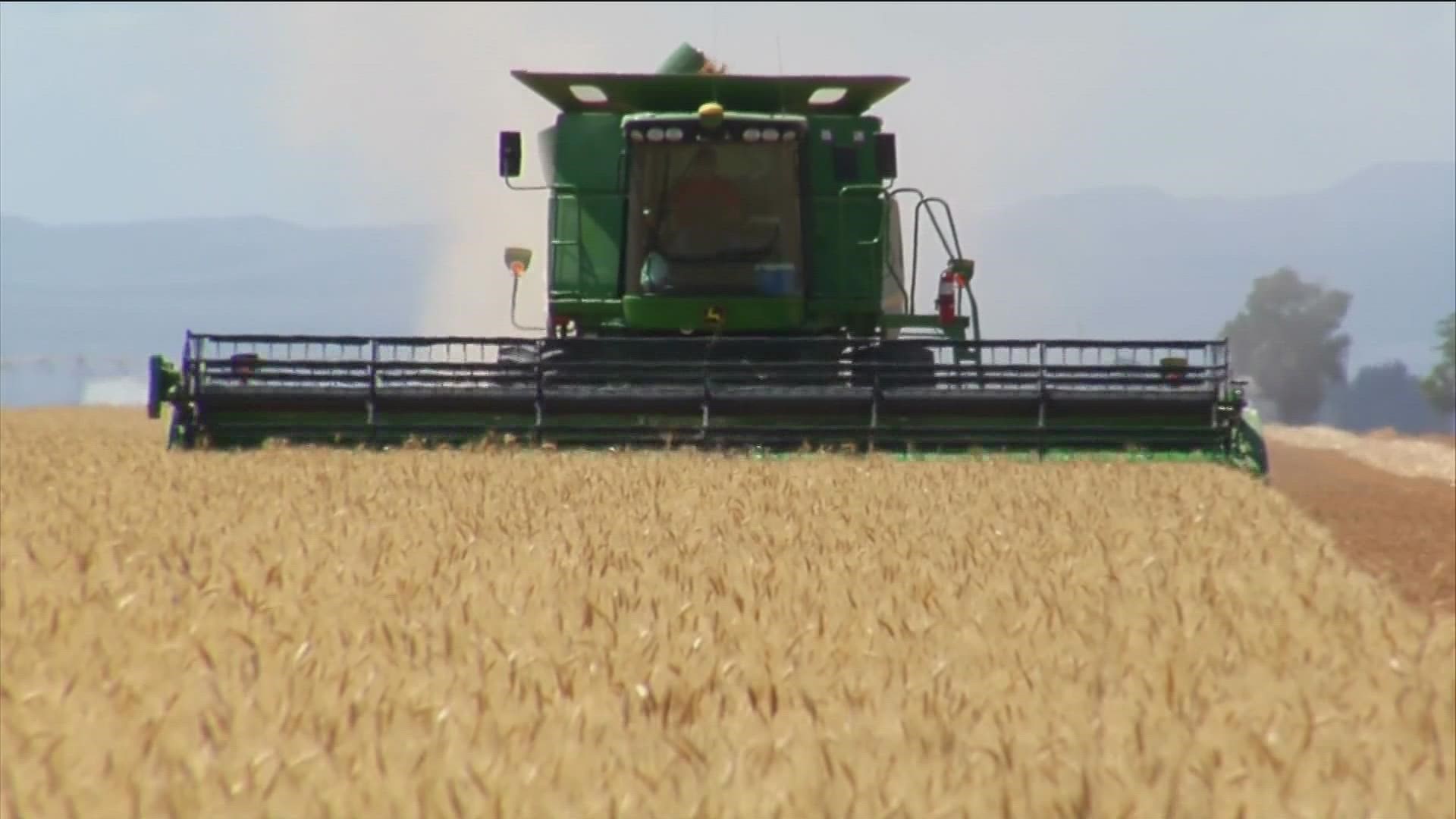 There has been an average of 50 crashes involving farm equipment each year on Idaho roads since 2009.