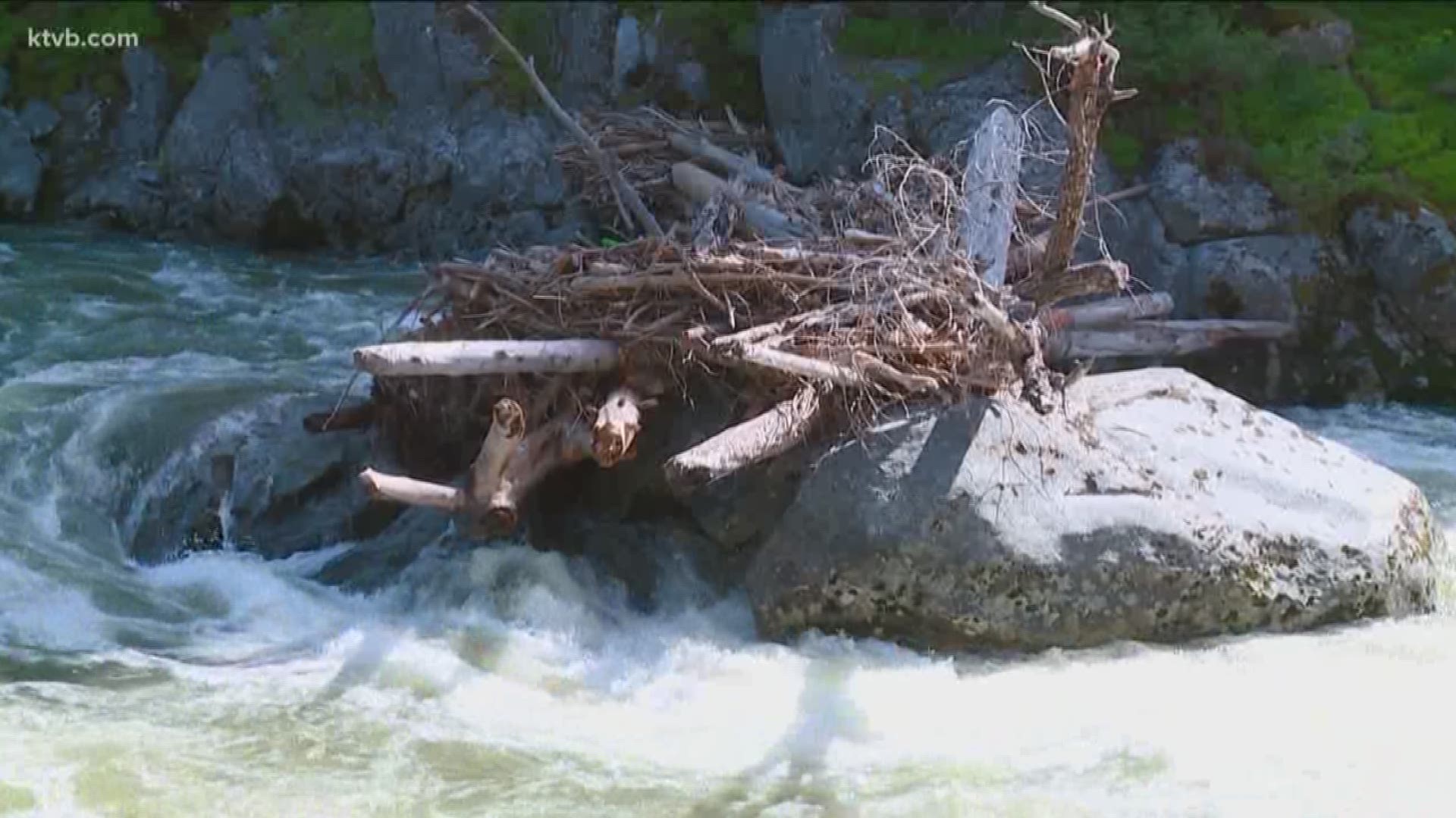 A log jam has built up in part of the Payette River, prompting emergency responders and the Boise National Forest to warn river users to avoid the area.