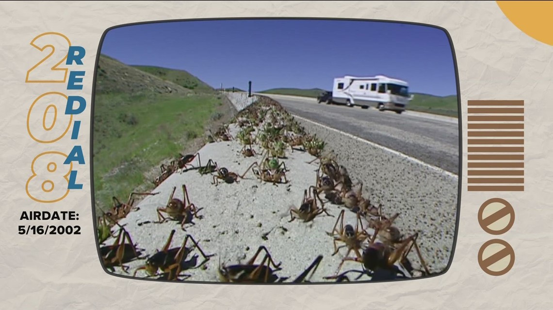 208 Redial Mormon crickets make annual return