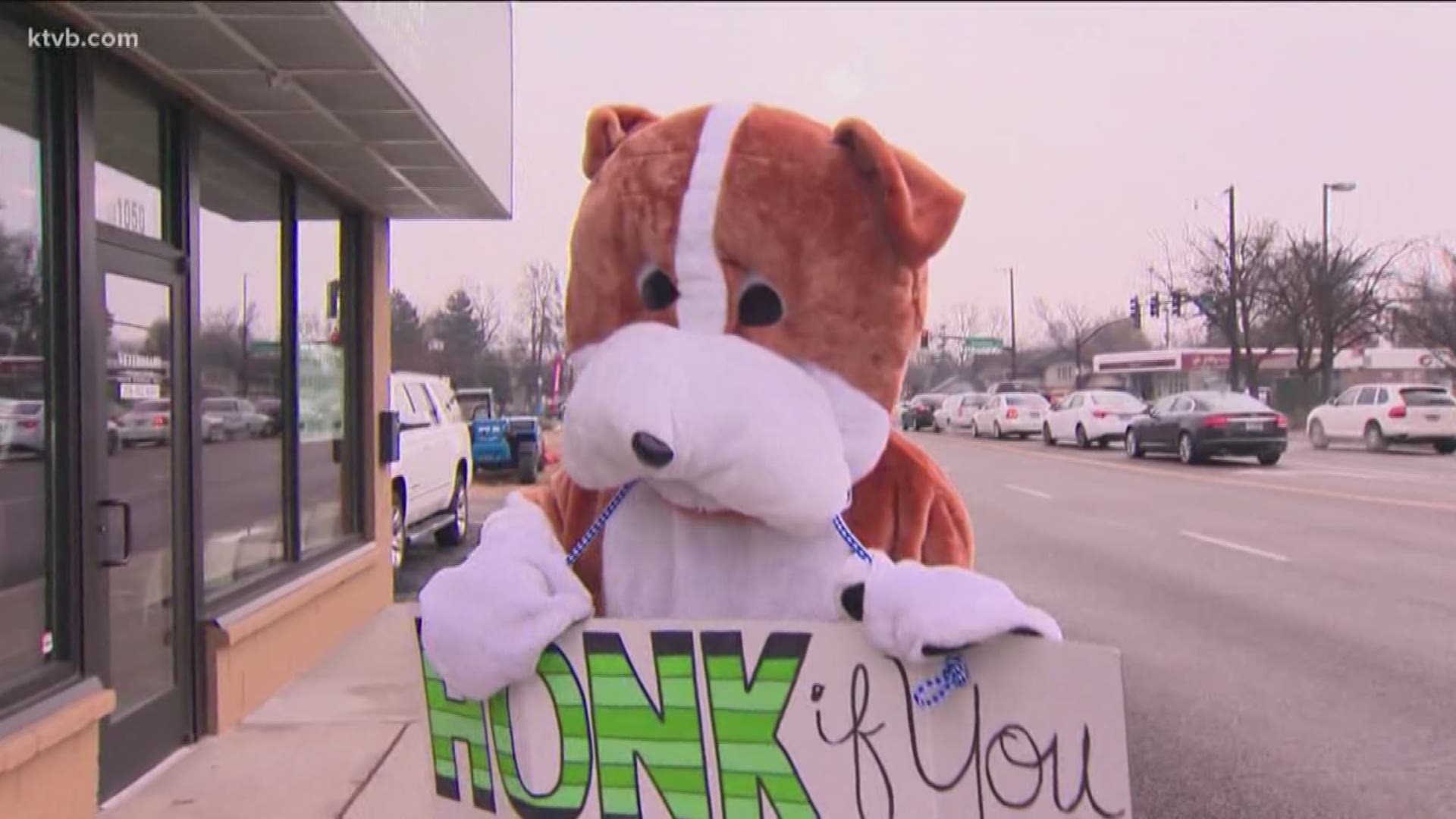 Meet a Boise veterinarian puts on a dog suit and steps out onto the sidewalk to pull in new business.