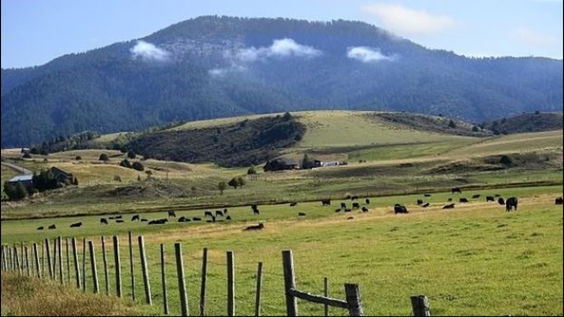 New Idaho beef plant adds local option for producers