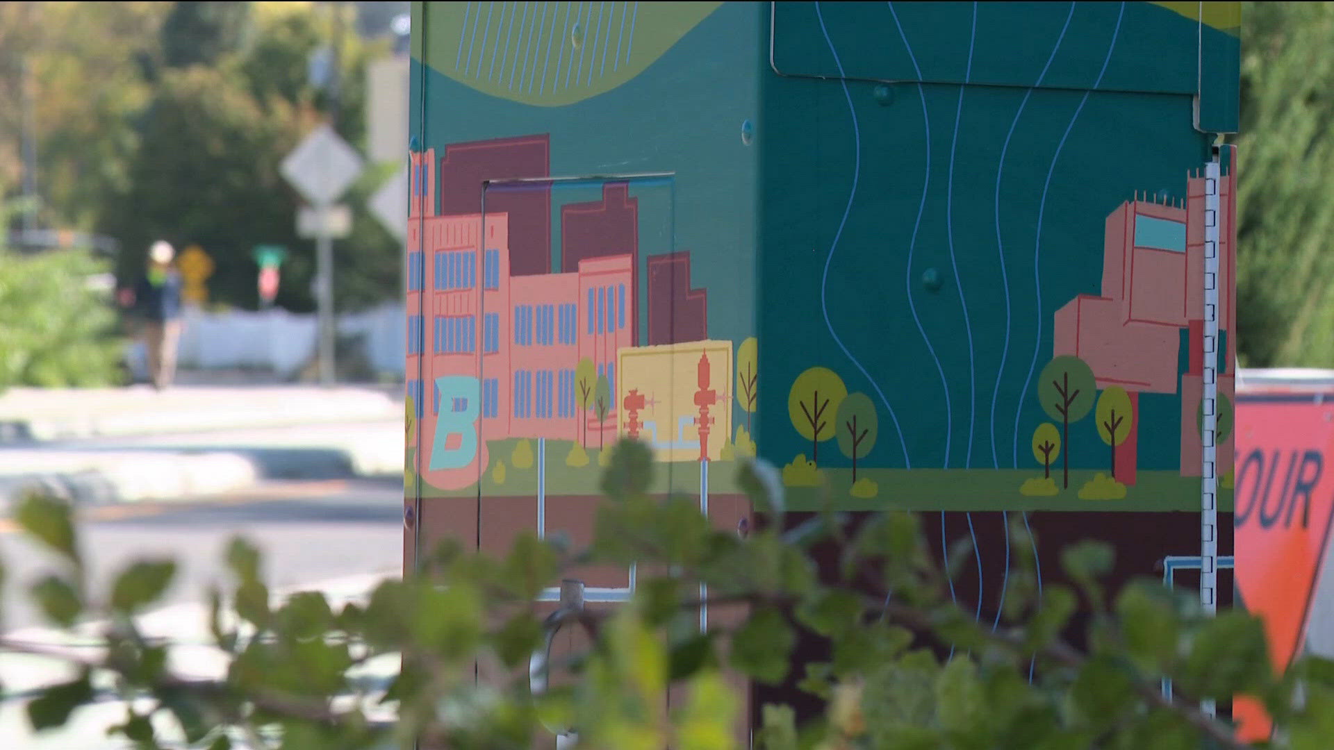 Boise traffic boxes get colorful makeover through city art program ...