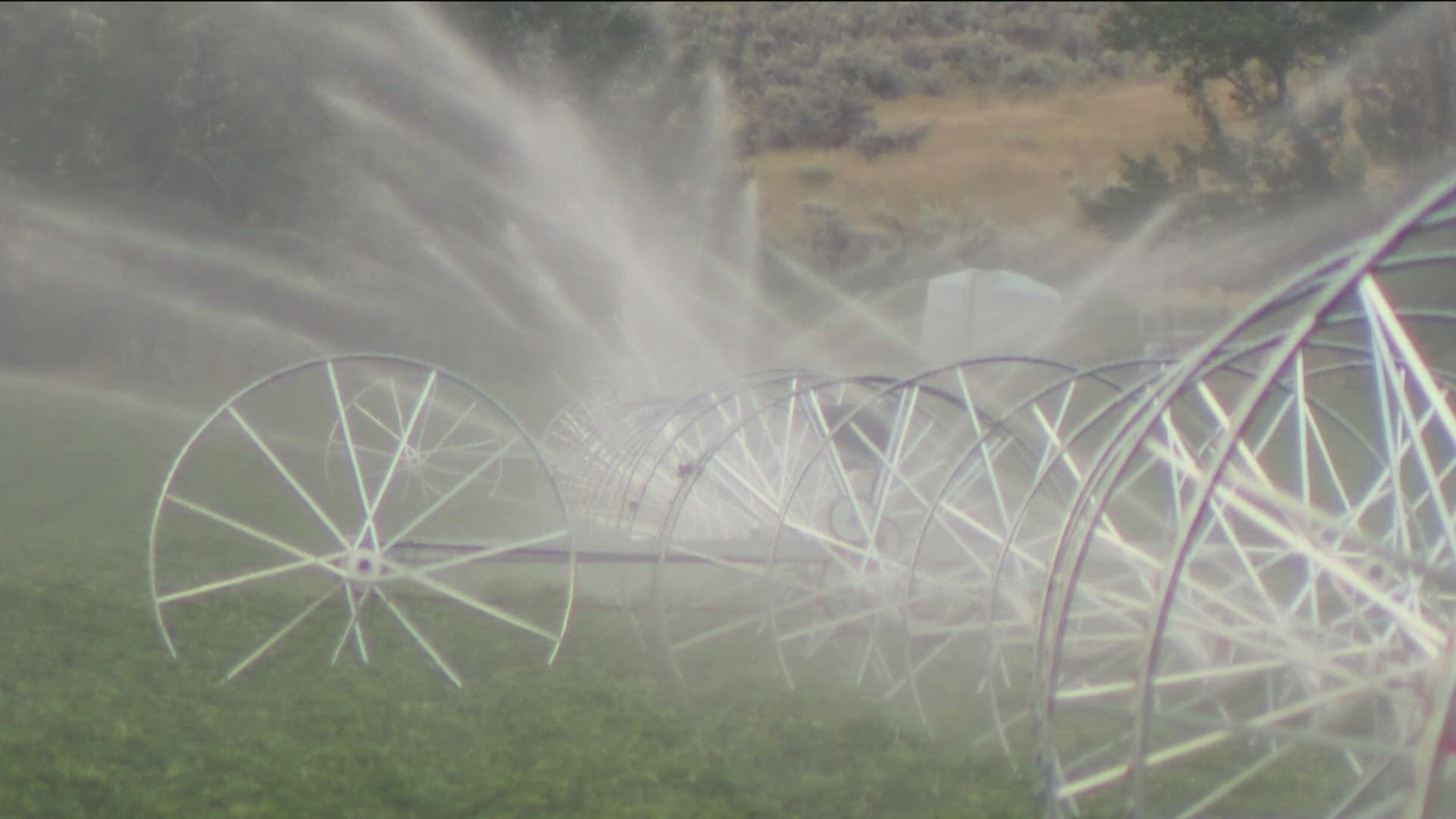 Idaho's new water mitigation plan is finalized, and Governor Little and Lt. Governor Bedke declared Nov. 22 Idaho Water Day to celebrate the agreement.