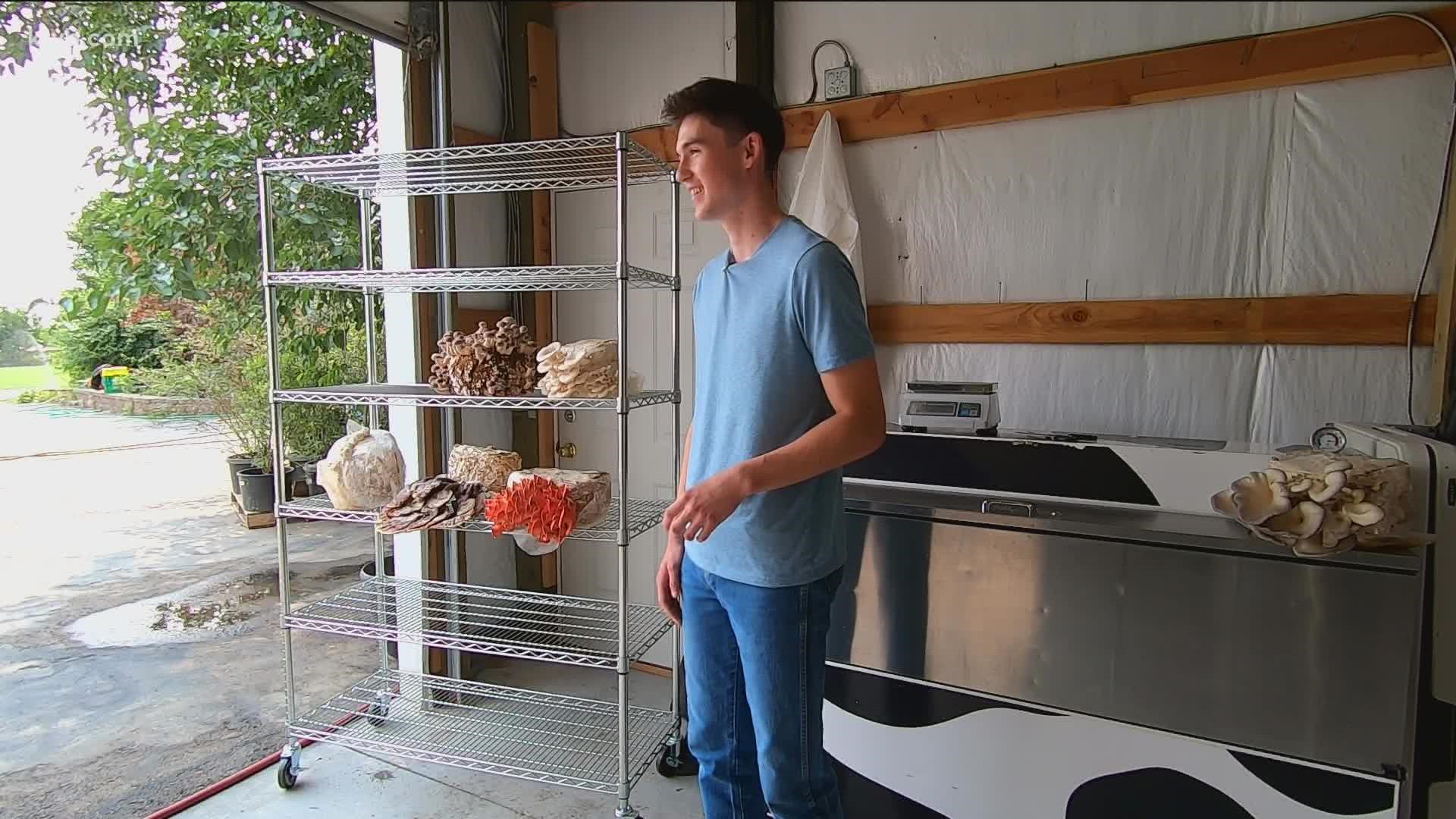 19-year-old Brody Ferguson started his own company, 'Ferg's Fabulous Fungi,' and he's developed a simple kit for growing edible mushrooms.