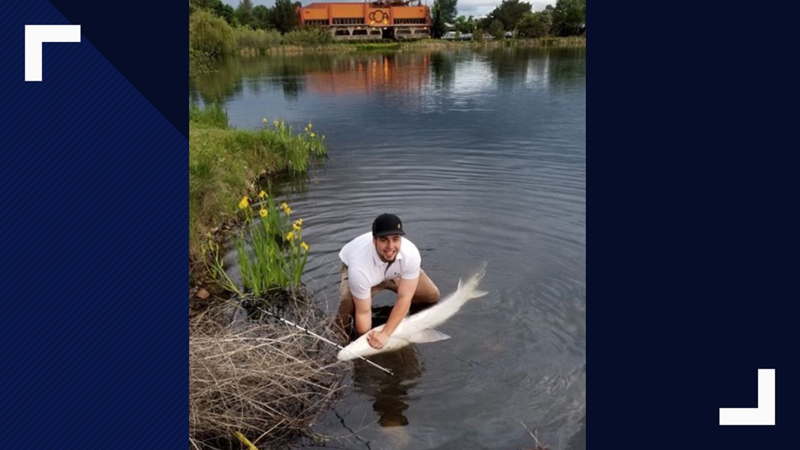 'It was insane' Boise fisherman catches massive sturgeon in Parkcenter Pond
