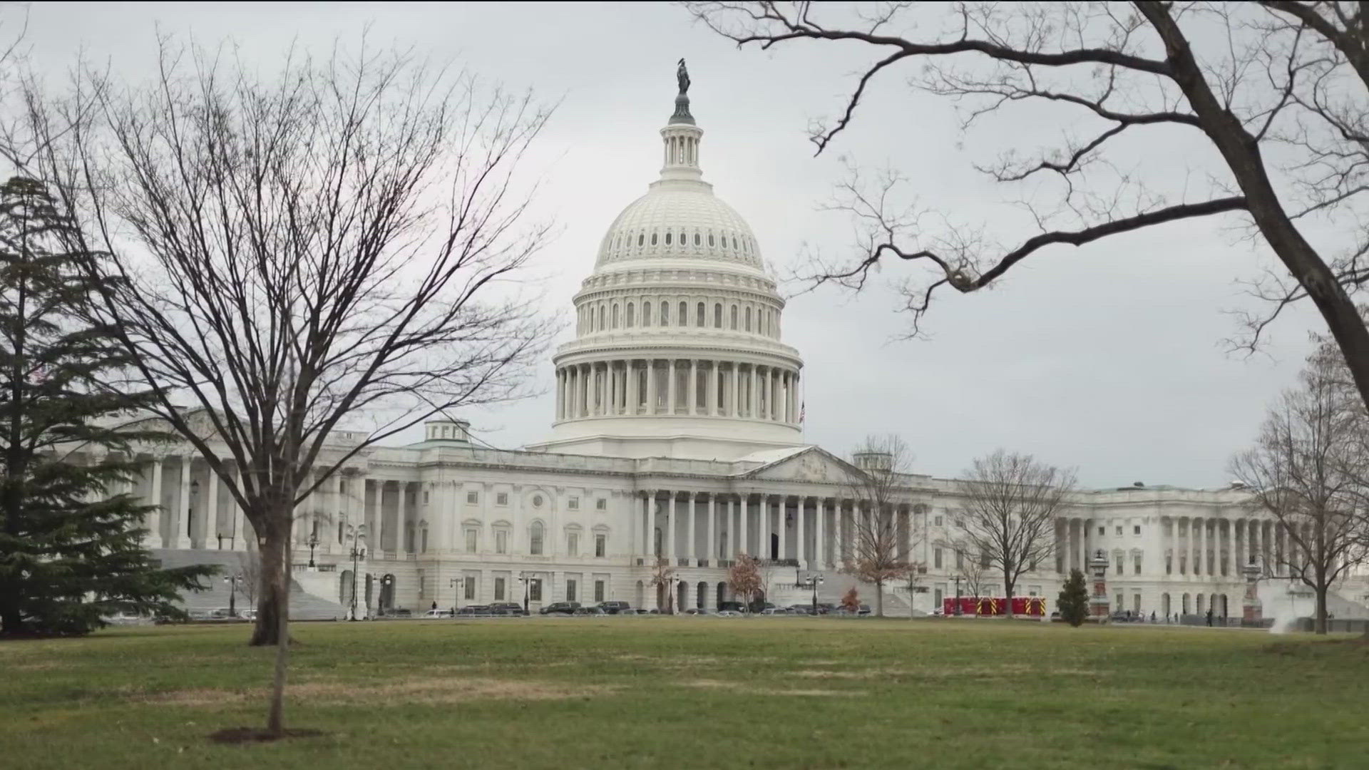 The bill, co-sponsored by Rep. Mike Simpson (R-Idaho), would ban puberty blockers, hormone replacement therapy and gender affirming surgeries for people under 19.