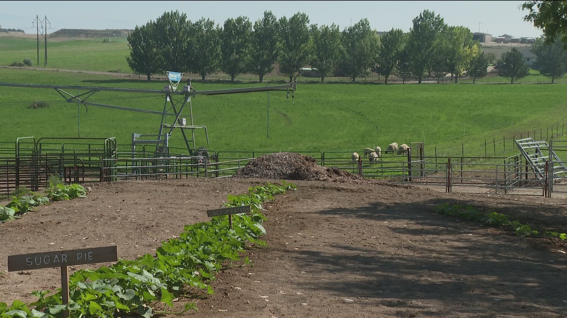 This Nampa farm allows people passing through to stay overnight, experience the land and get to know their animals.