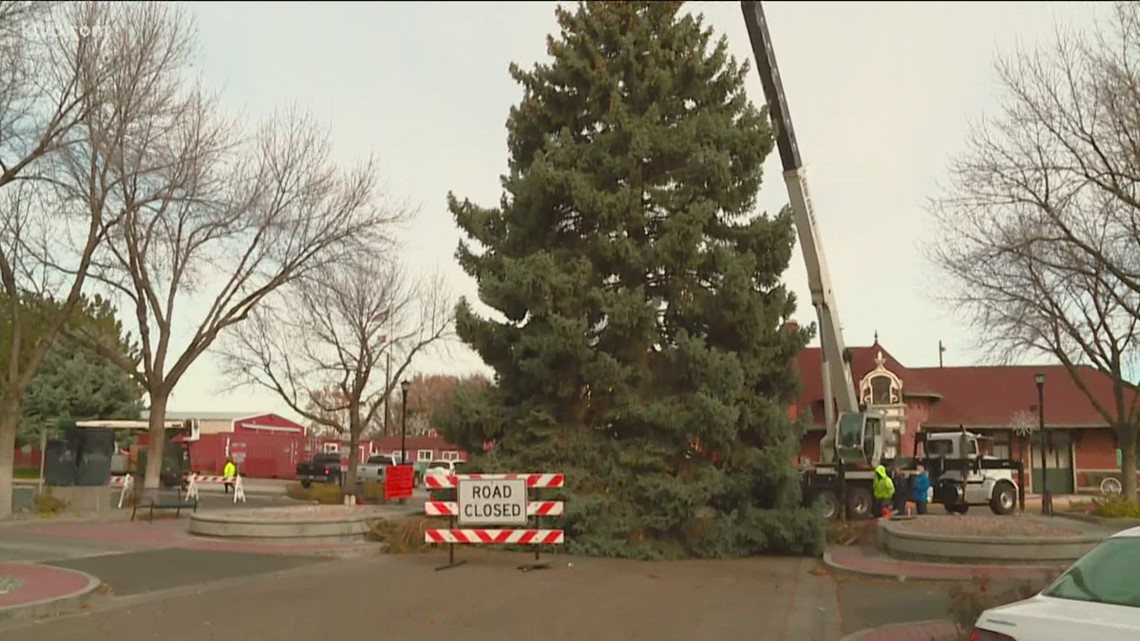 Nampa's Christmas tree goes up, virtual lighting ceremony planned